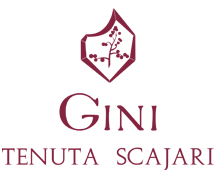 Gini