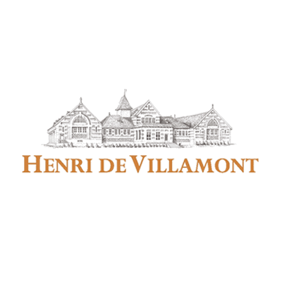 Henri de Villamont