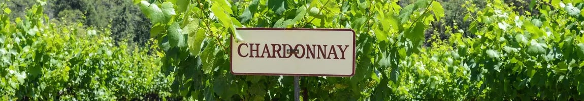 Chardonnay Wines