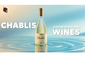A Guide to the Best Chablis Wines