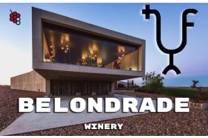 Verdejo Legends: A Guide to Belondrade Winery