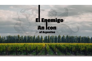 The Iconic El Enemigo Winery: Discover the Best Argentinian Wines