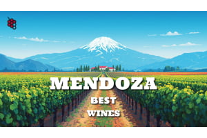 Guide to the Best Wines From Mendoza, Argentina