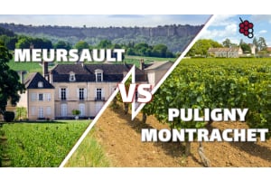 The key role of terroir: Meursault vs Puligny Montrachet and what makes these wines so unique