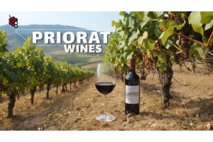 Priorat Wines: From Ancient Monastic Tradition to Modern Revival