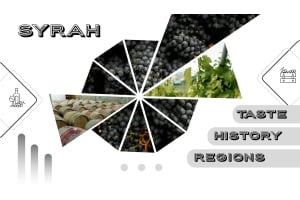 Syrah Wines - A Guide to the Basics and Secrets