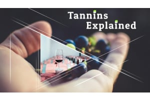 Tannins Explained: How They Affect Your Wine