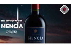 The Emergence of Mencia Wines