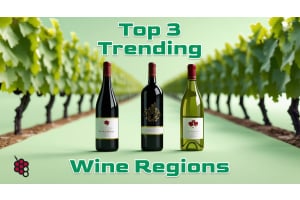 Top 3 Trending Wine Regions to Watch