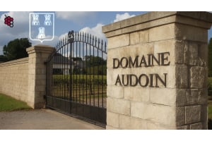 Winery Profile: Domaine Charles Audoin, Burgundy