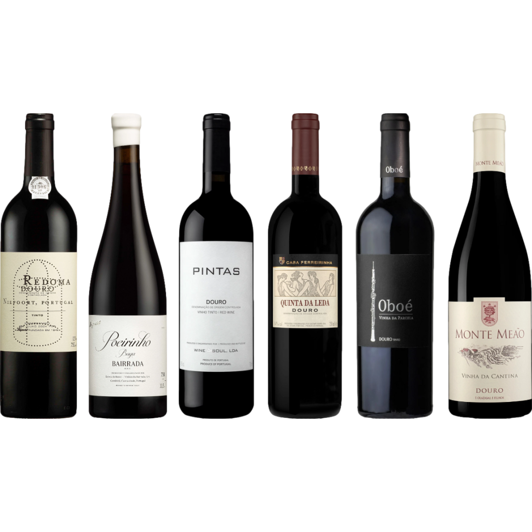 Douro Red Premium Tasting Case
