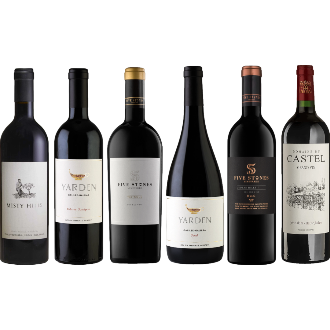 Israel Red Wine Premium Tasting Case