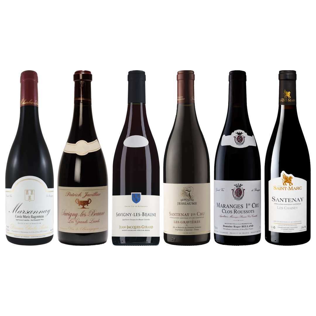 Red Burgundy Tasting Case