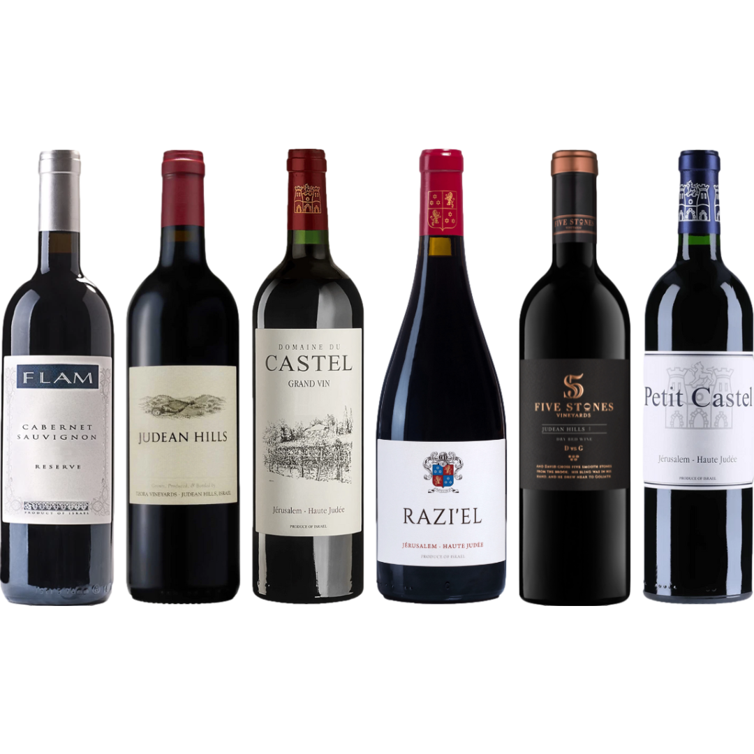 Israel Red Wine Premium Tasting Case