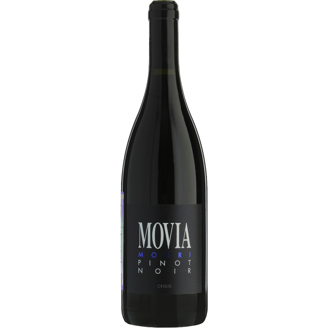 Movia Modri Pinot Noir 2023