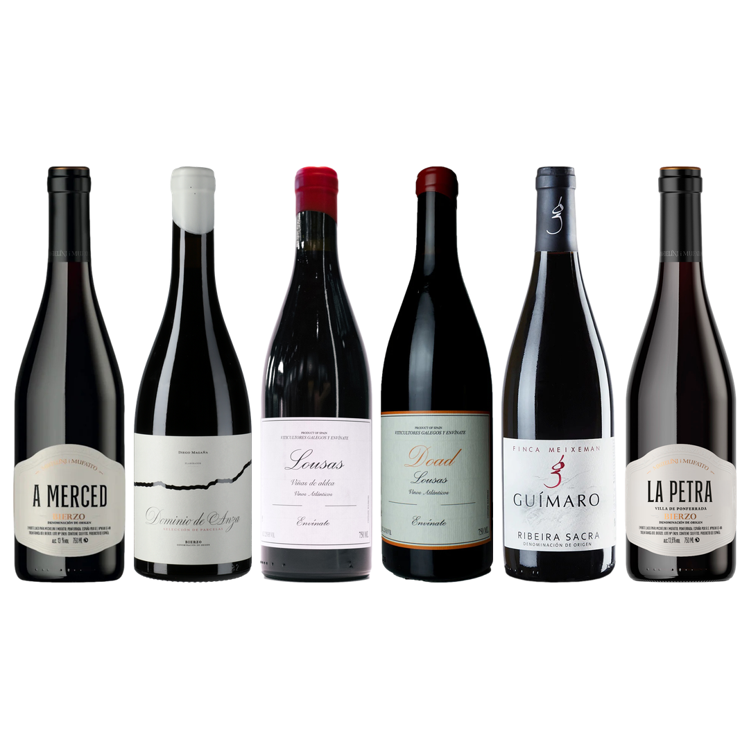 Mencia Premium Tasting Case