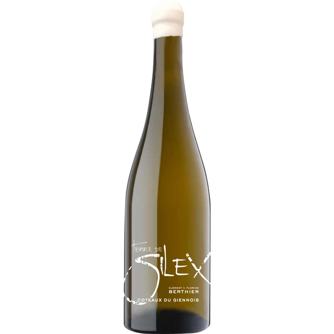 Clement & Florian Berthier Coteaux du Giennois Terre de Silex 2023