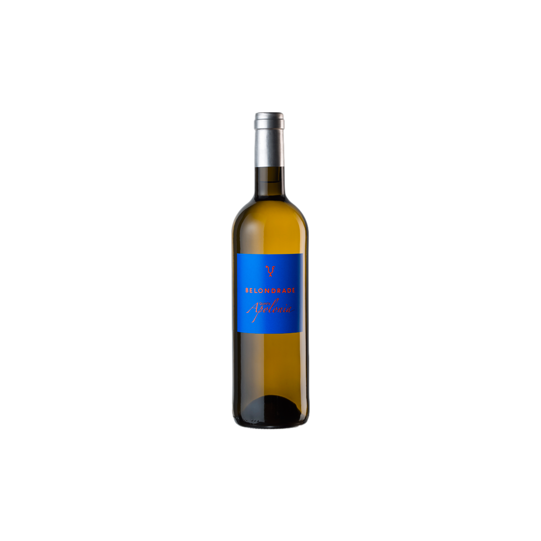 Belondrade Quinta Apolonia 2024