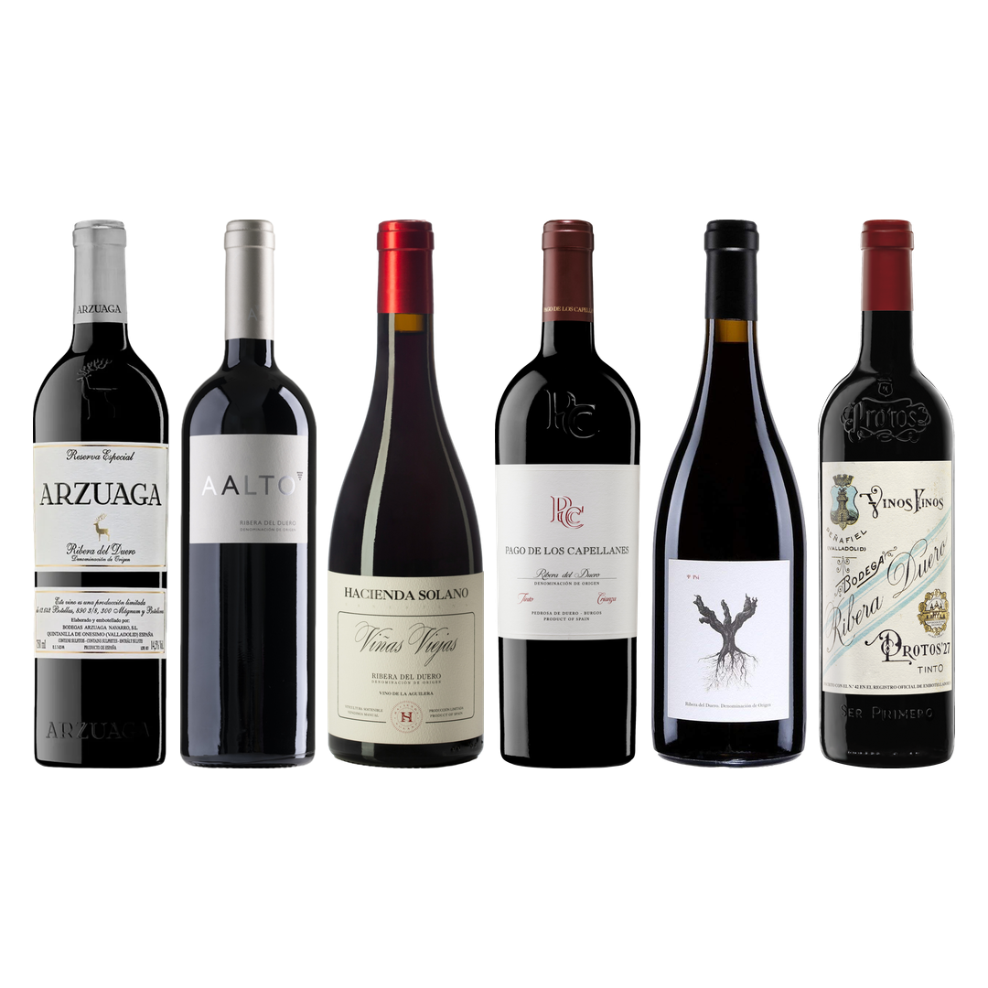Ribera del Duero Premium Tasting Case