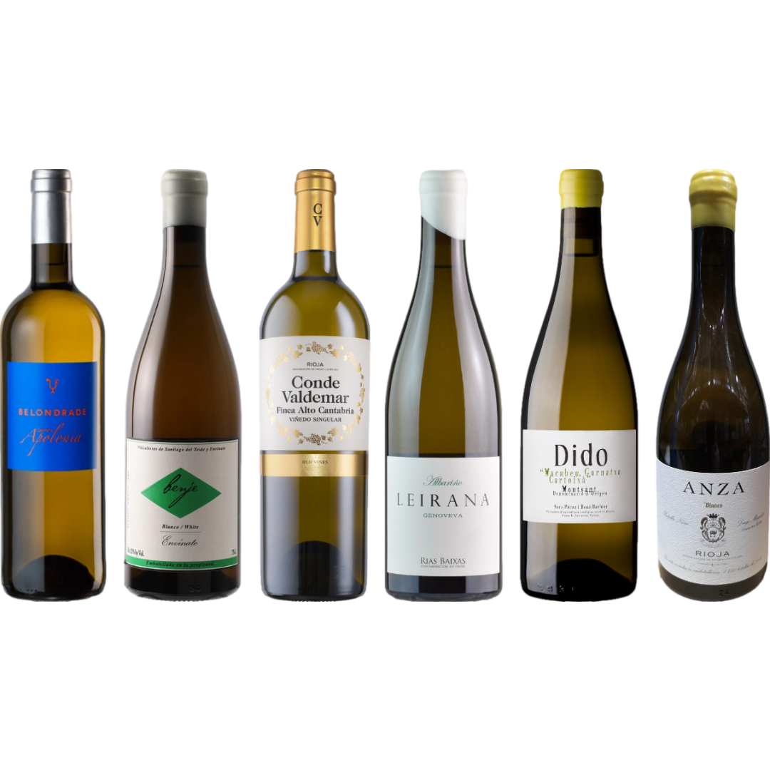 Spanish White Wine Premium Tasting Case