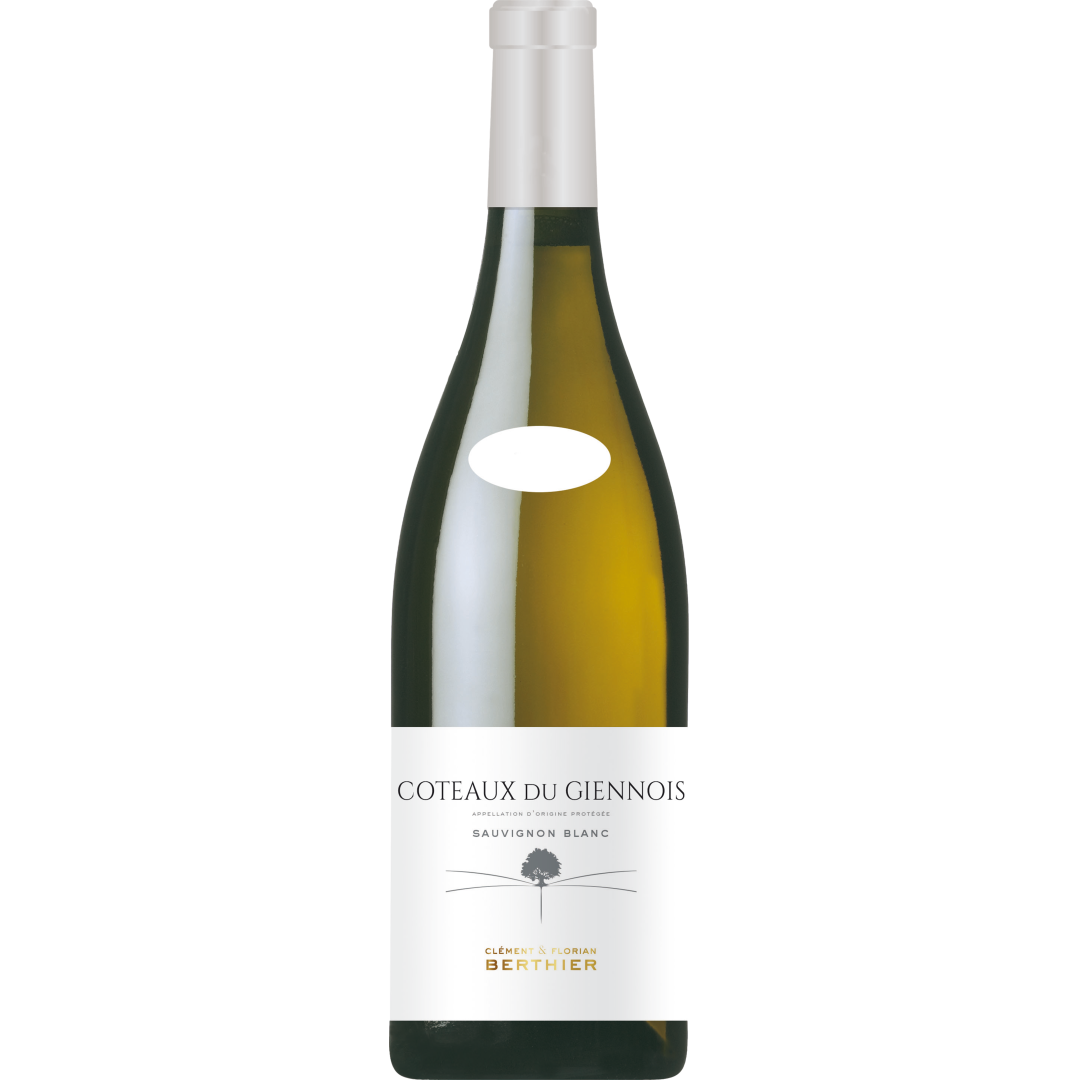 Clement & Florian Berthier Coteaux du Giennois Blanc 2023