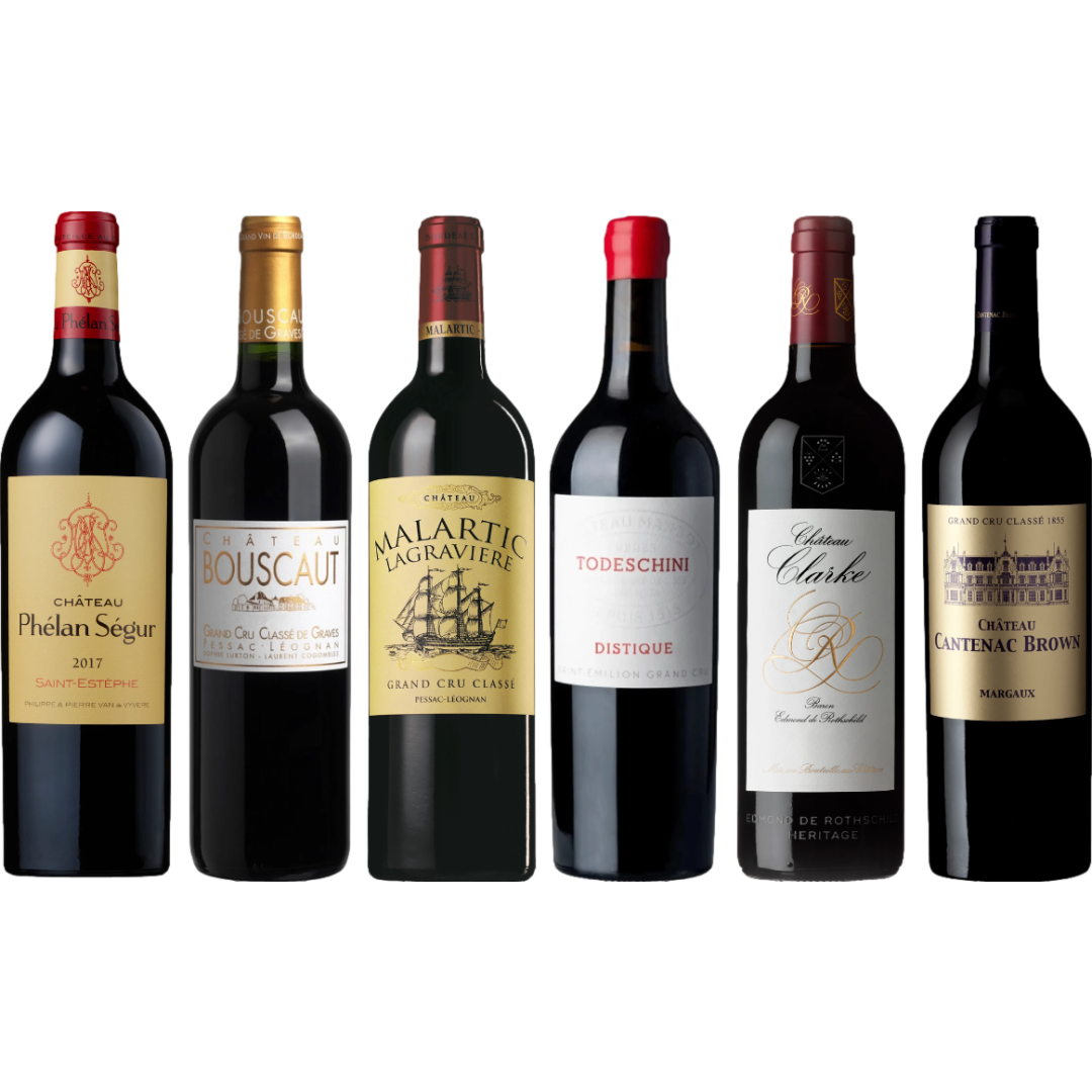 Bordeaux Red Tasting Case