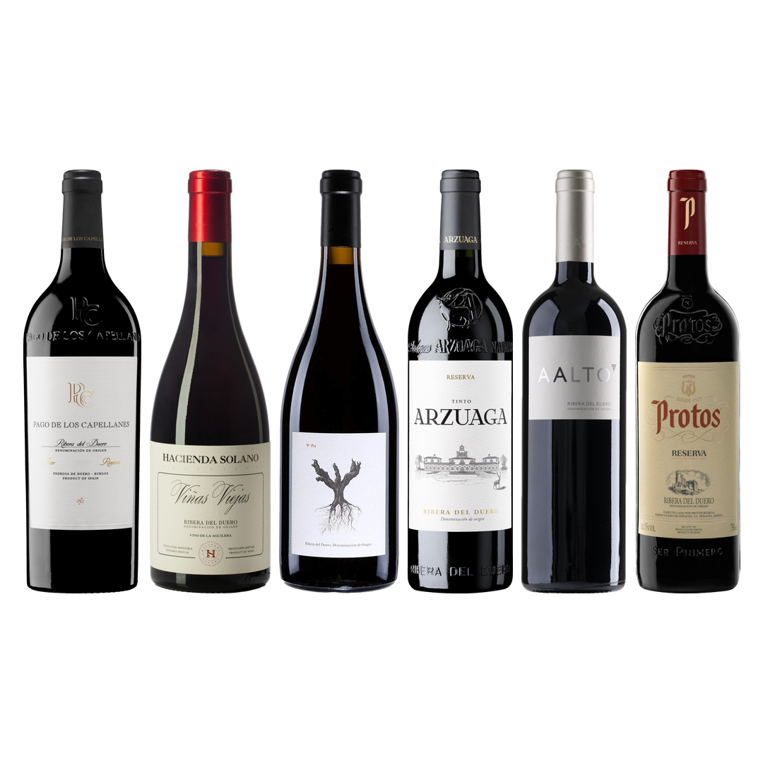 Ribera del Duero Premium Tasting Case