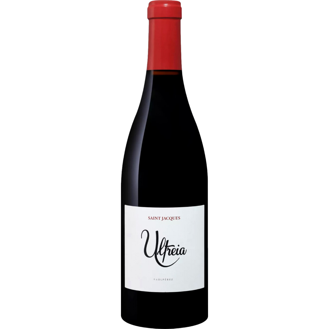 Raul Perez Ultreia Saint Jacques Mencia 2022
