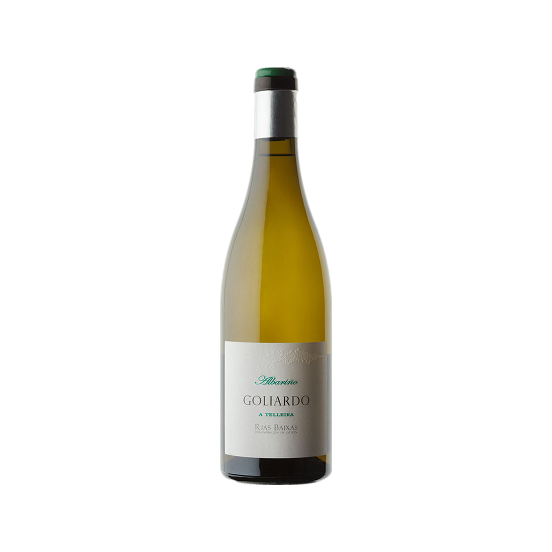 Bodegas Forjas del Salnes Goliardo A Telleira Albarino 2023