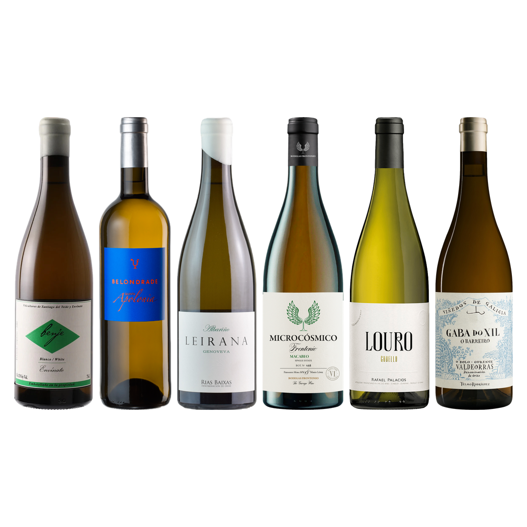 Spanish White Wine Premium Tasting Case