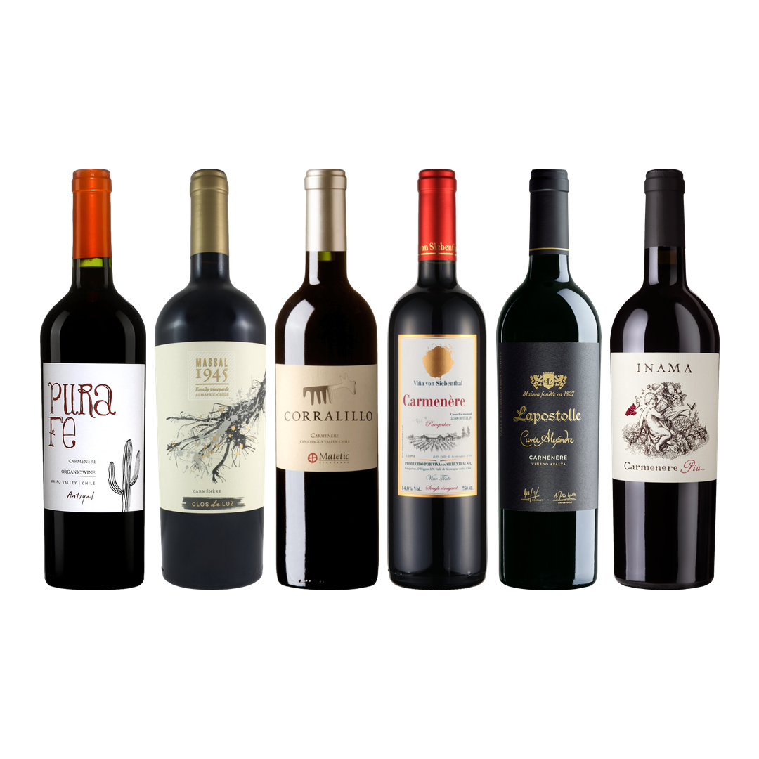Carmenere Tasting Case