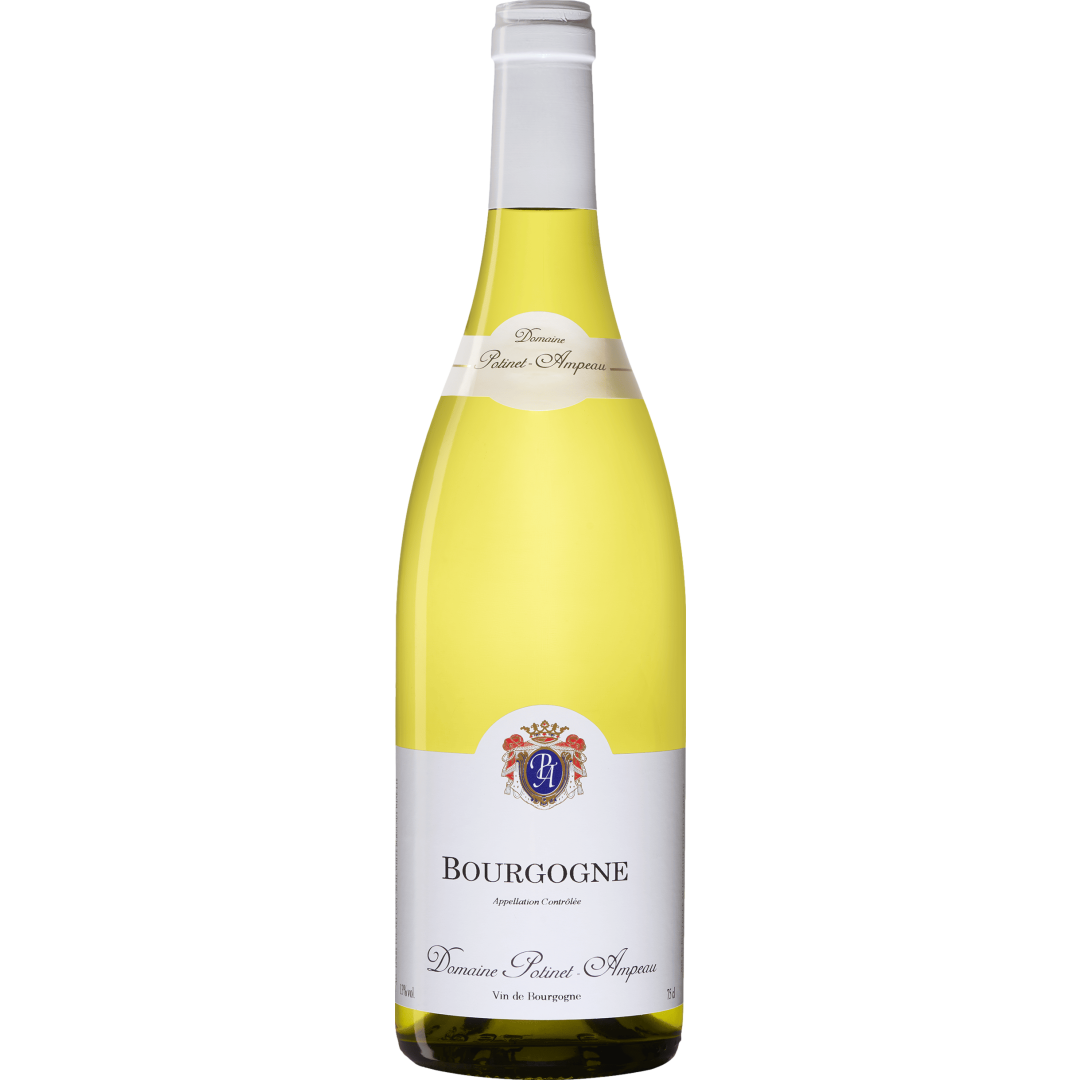 Domaine Potinet-Ampeau Bourgogne Blanc 2020