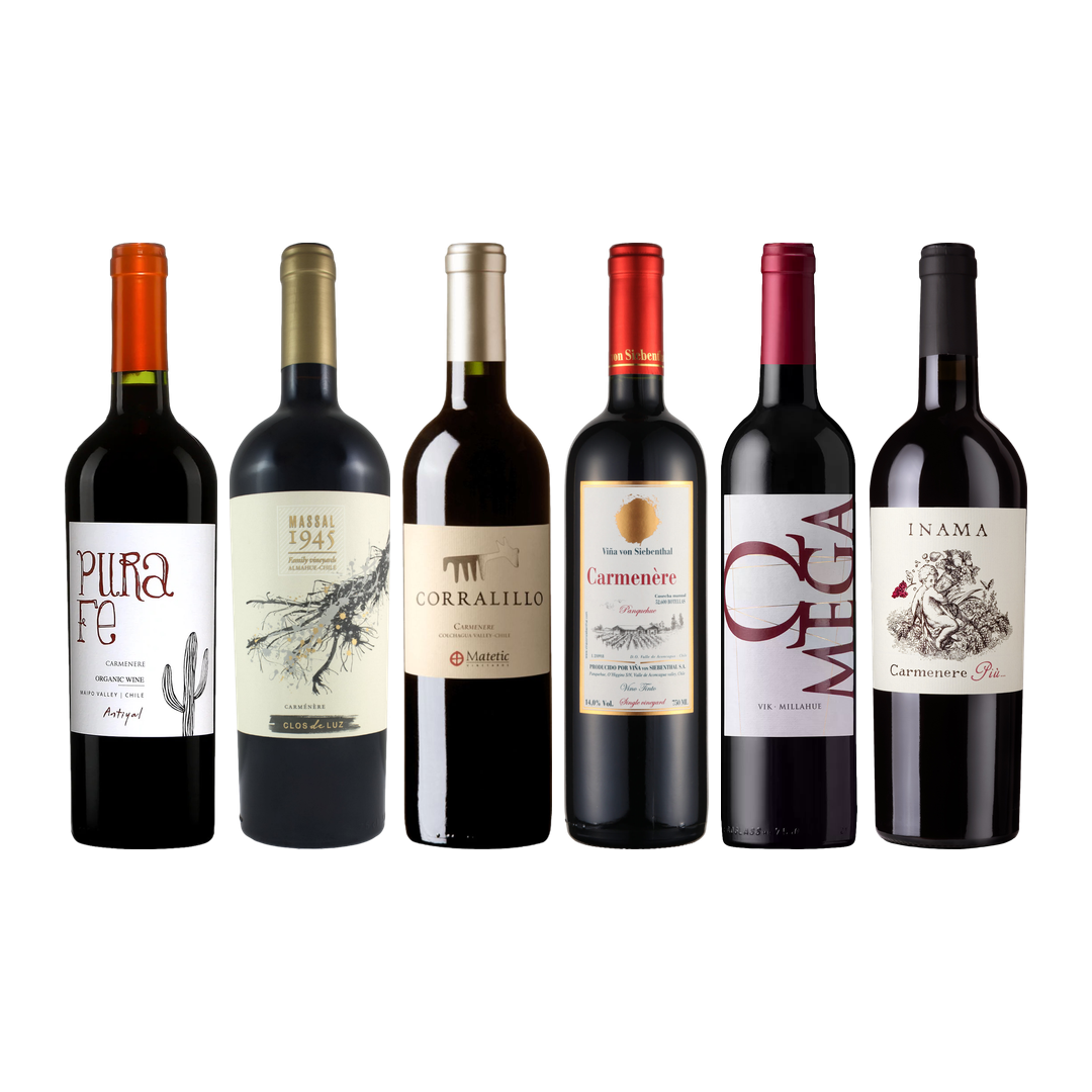 Carmenere Tasting Case