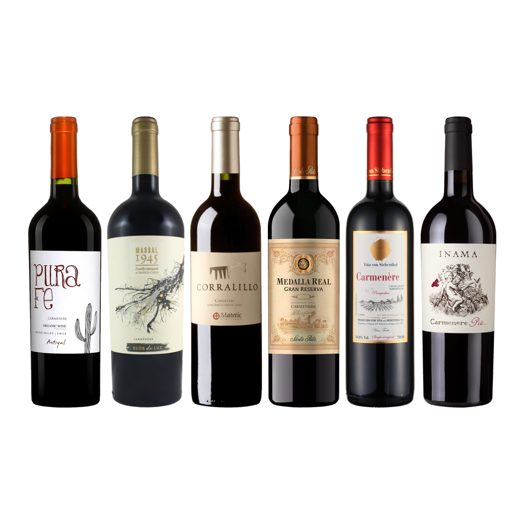 Carmenere Tasting Case