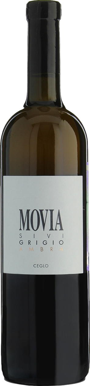 Image of Movia Sivi Grigio Ambra 2022