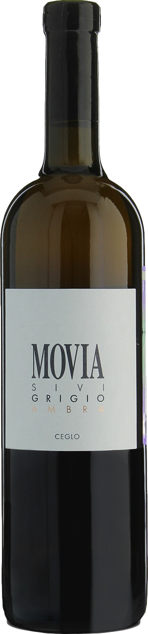 Movia Sivi Grigio Ambra 2023