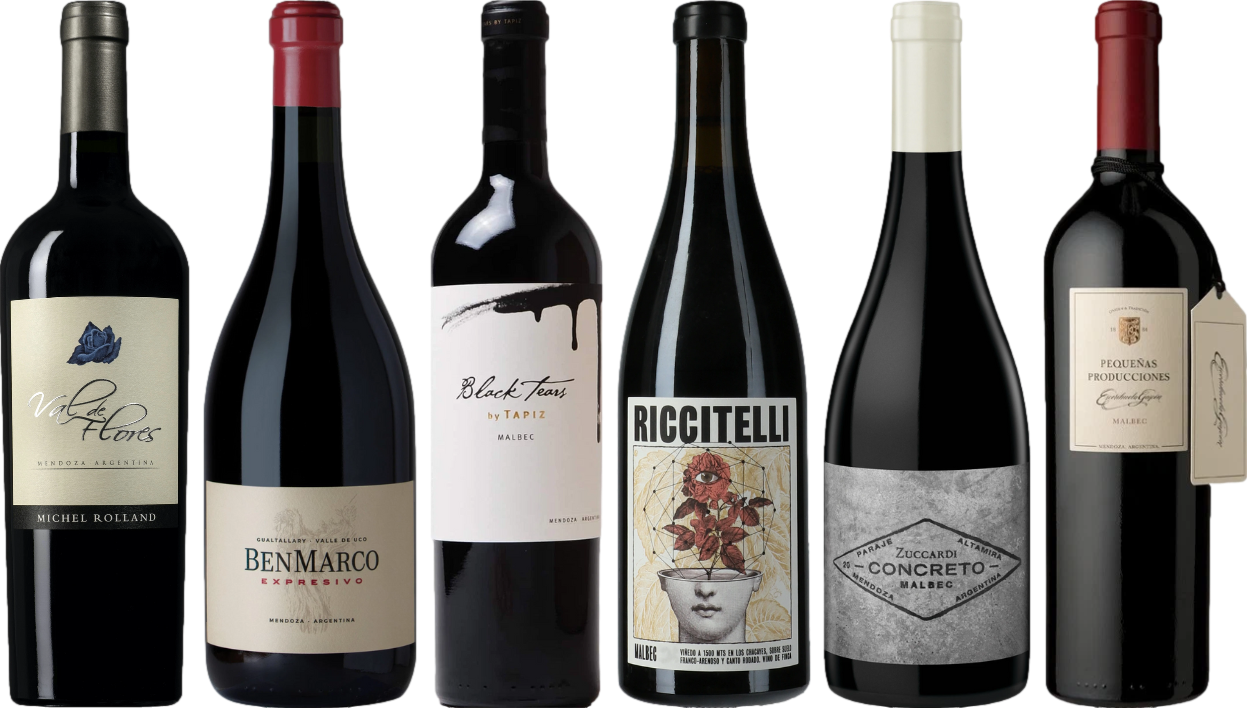 Argentinian Malbec Premium Tasting Case