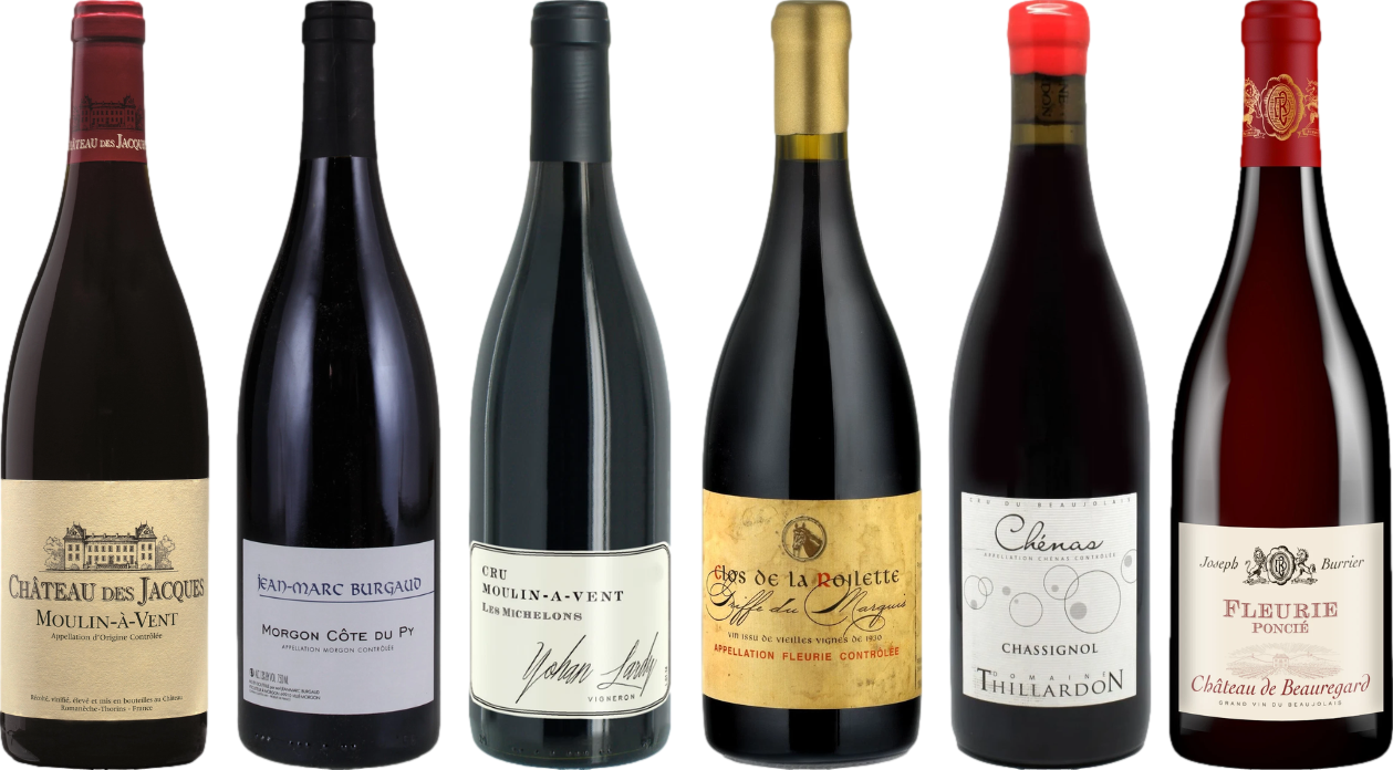 Beaujolais Premium Tasting Case