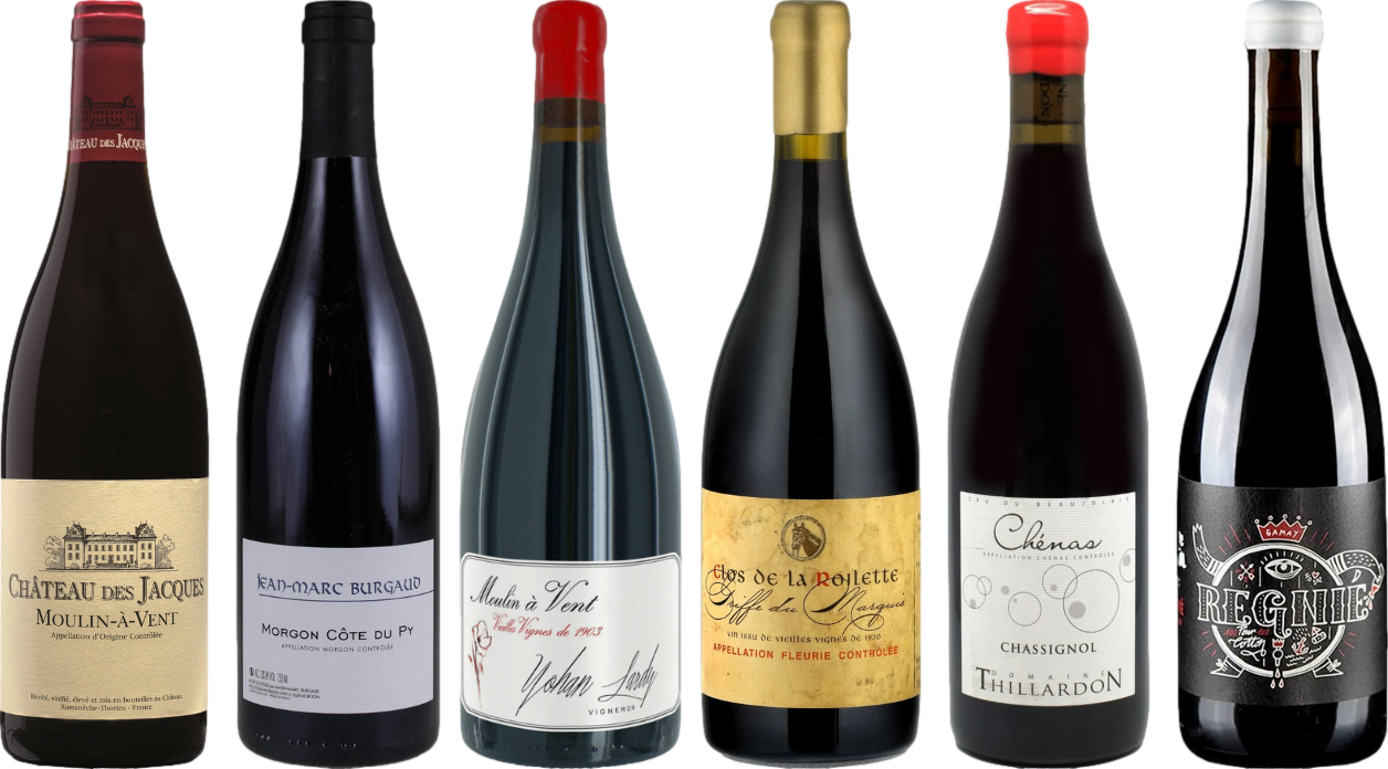 Beaujolais Premium Tasting Case