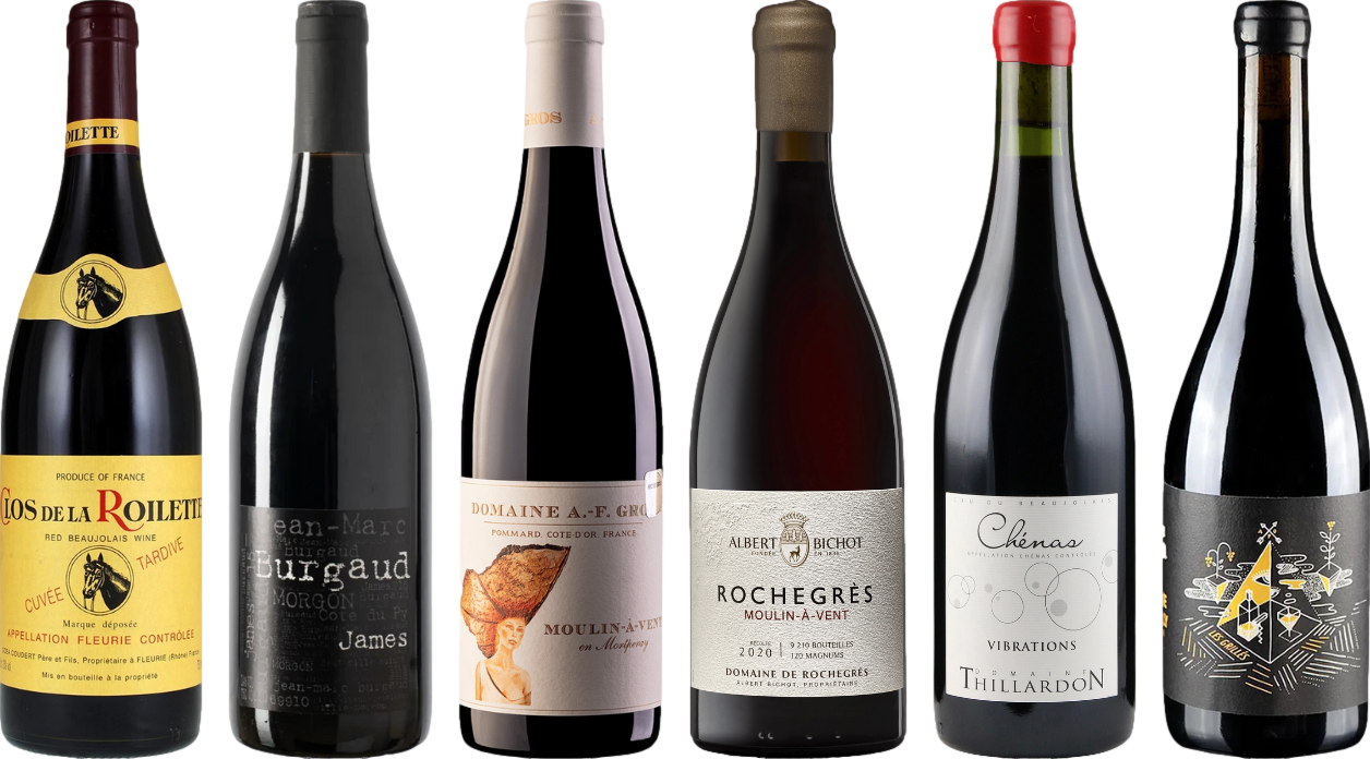 Beaujolais Premium Tasting Case
