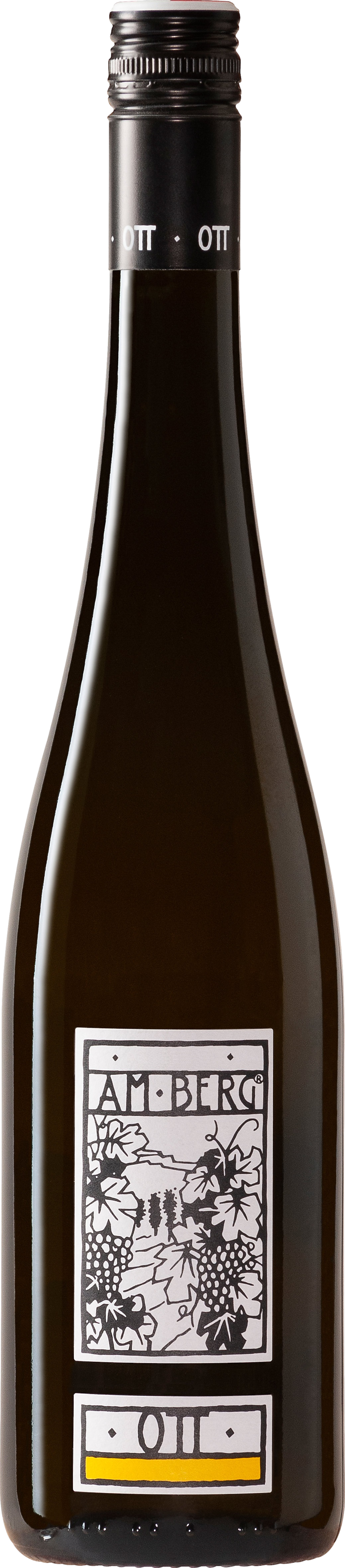 Image of Bernhard Ott Am Berg Gruner Veltliner 2024
