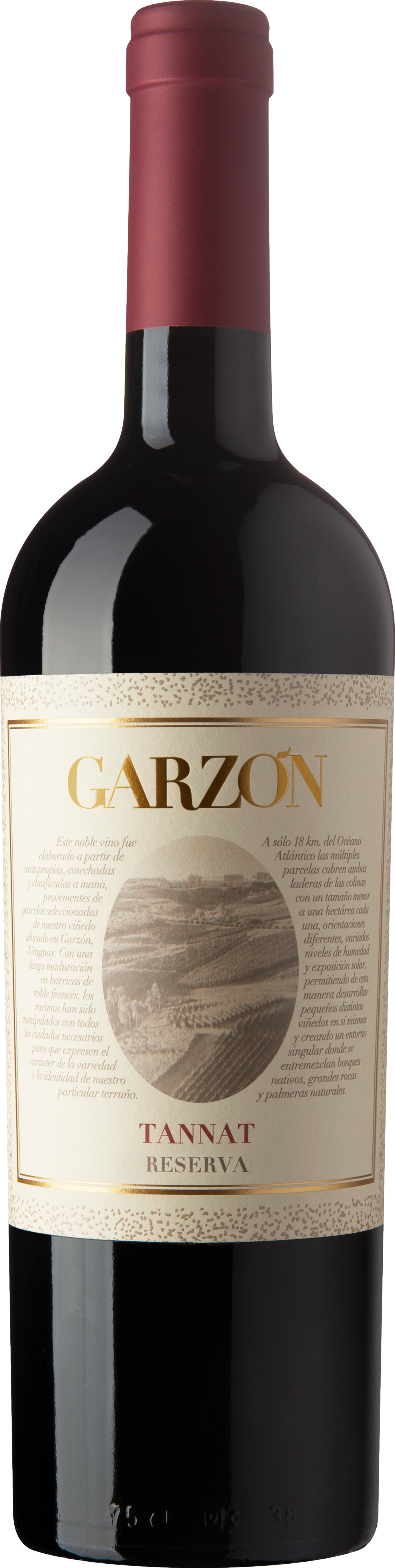 Reserva Tannat 2023