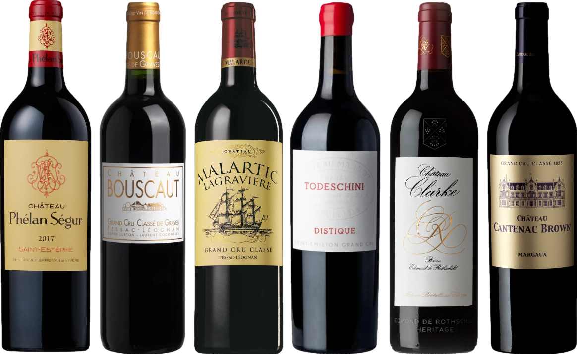 Bordeaux Red Wine Tasting Case