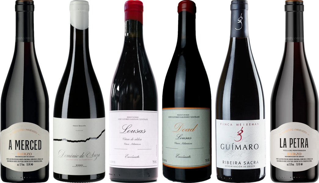 Mencia Premium Tasting Case