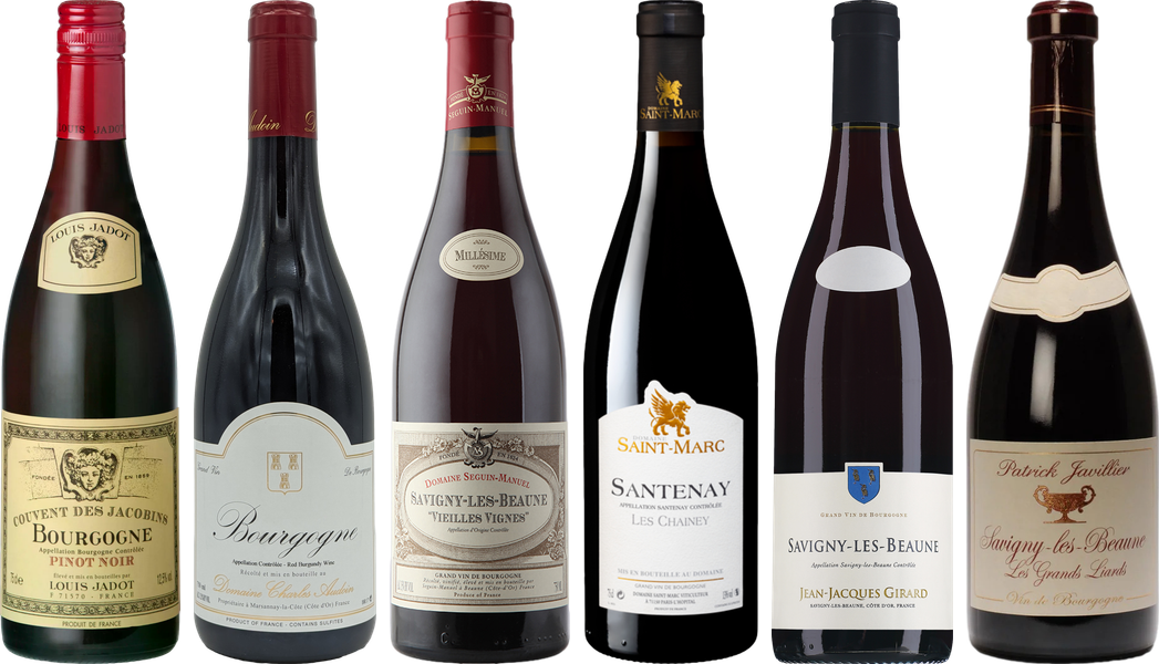 Red Burgundy Wine Tasting Case