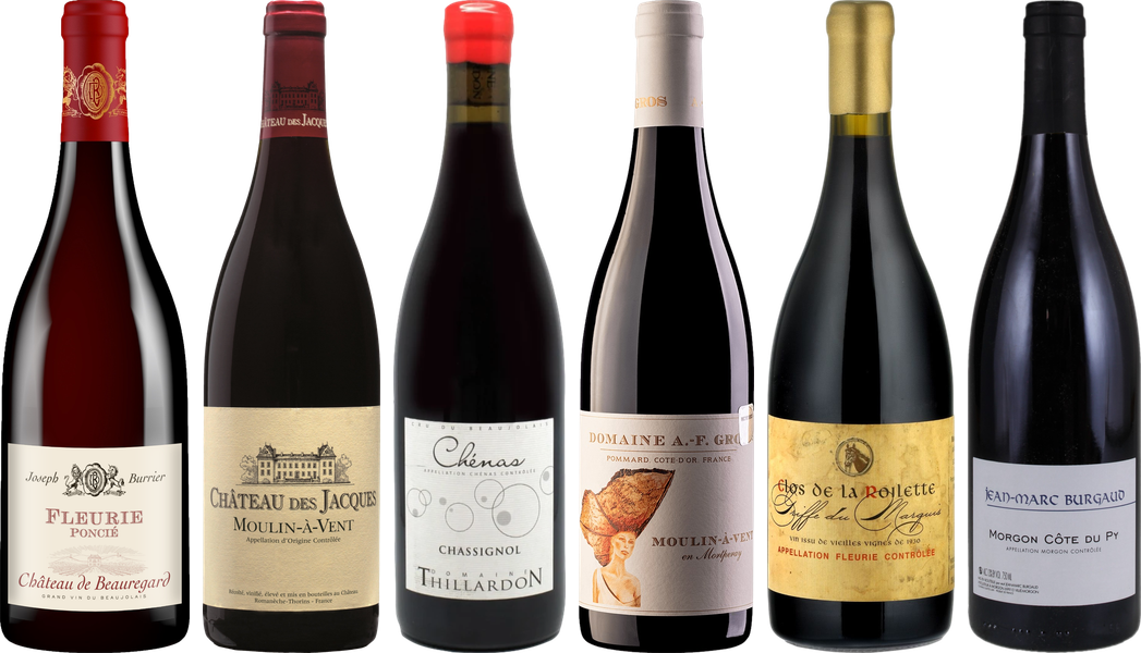 Beaujolais Premium Tasting Case