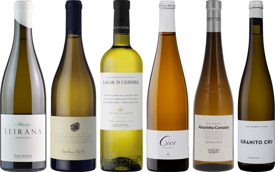 Albarino Premium Tasting Case