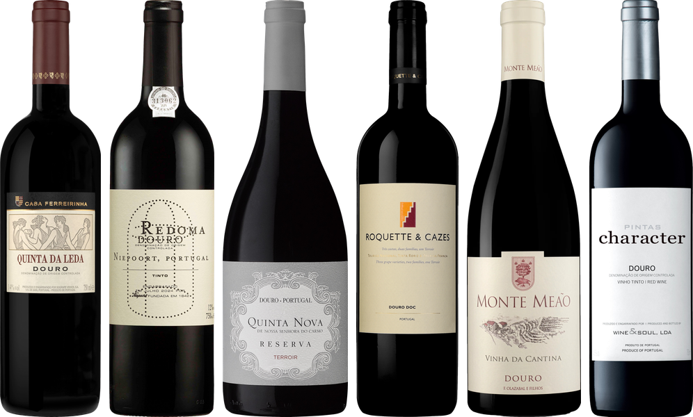Douro Red Premium Tasting Case