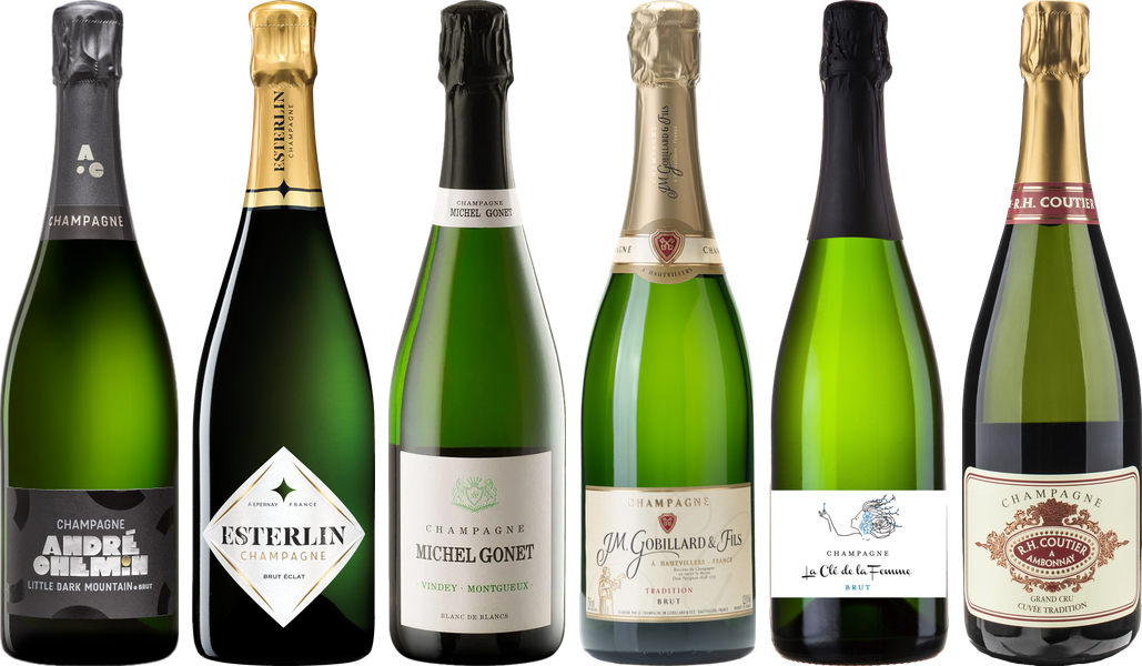 Top Value Champagne Tasting Case
