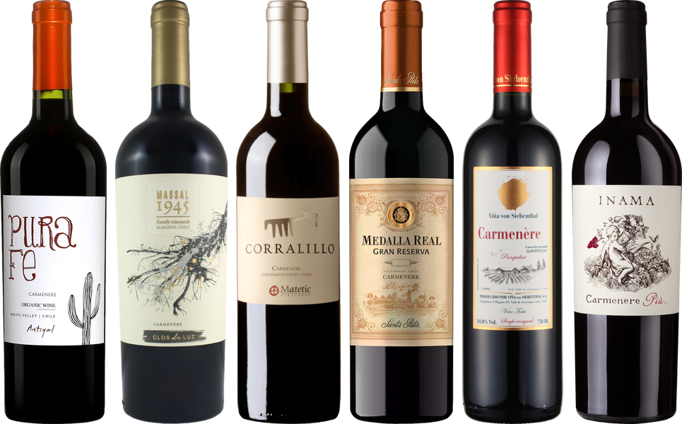 Carmenere Tasting Case
